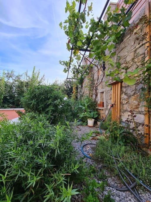 Appartamento Hisa Idej Sežana Esterno foto